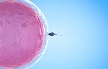 Do sperm donors now have parental rights